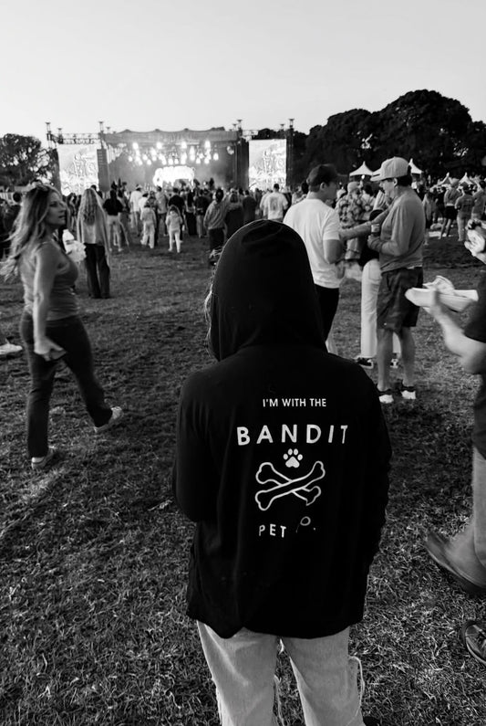 BAYFEST SAN DIEGO