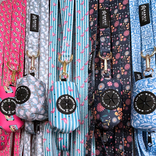 PET LEASH