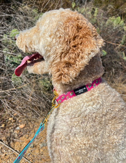 90's Retro Pet Collar
