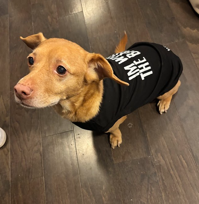 I'M WITH THE BAND PET T-SHIRT
