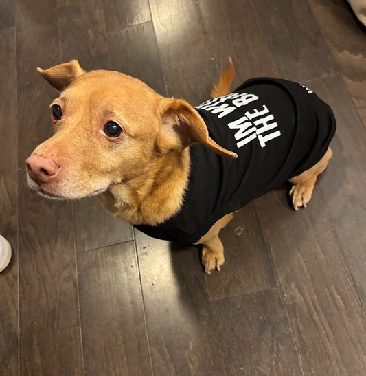 I'M WITH THE BAND PET T-SHIRT