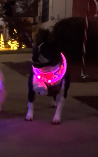 PINK PET LED GLOW SAFETY NECKLACE