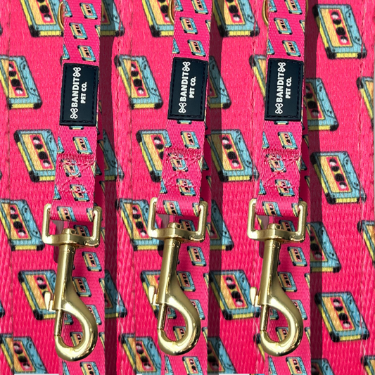 90's Retro Pet Leash