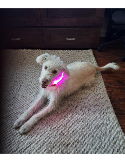 PINK PET LED GLOW SAFETY NECKLACE