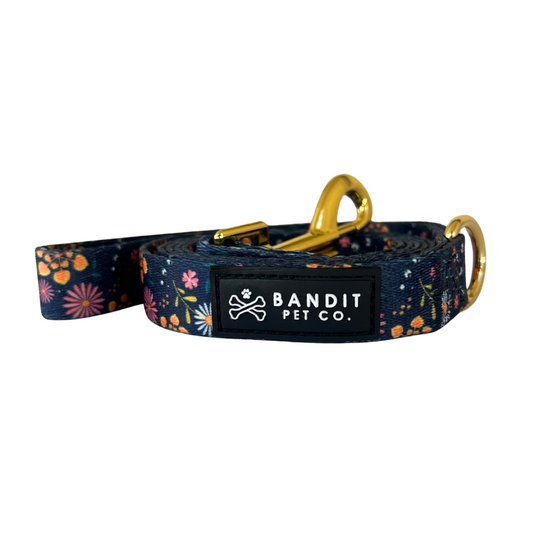 Wallflower Pet Leash