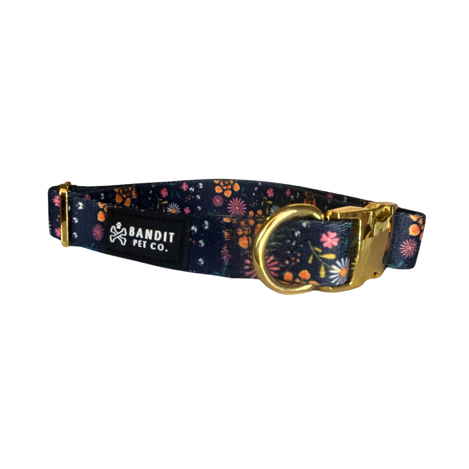 Wallflower Pet Collar